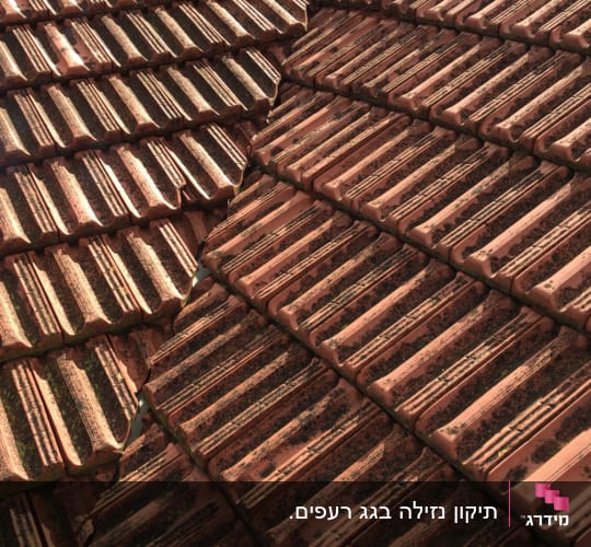 רעפים חומים על גג עם לכלוך וטחב